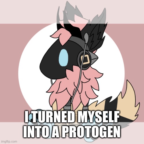 I TURNED MYSELF INTO A PROTOGEN | made w/ Imgflip meme maker