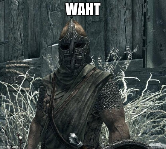 SkyrimGuard | WAHT | image tagged in skyrimguard | made w/ Imgflip meme maker