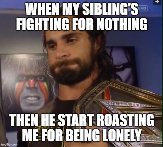 How we fight together | WHEN MY SIBLING'S FIGHTING FOR NOTHING; THEN HE START ROASTING ME FOR BEING LONELY | image tagged in seth rollins wwe | made w/ Imgflip meme maker