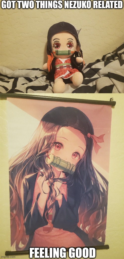 Back from Phoenix | GOT TWO THINGS NEZUKO RELATED; FEELING GOOD | made w/ Imgflip meme maker