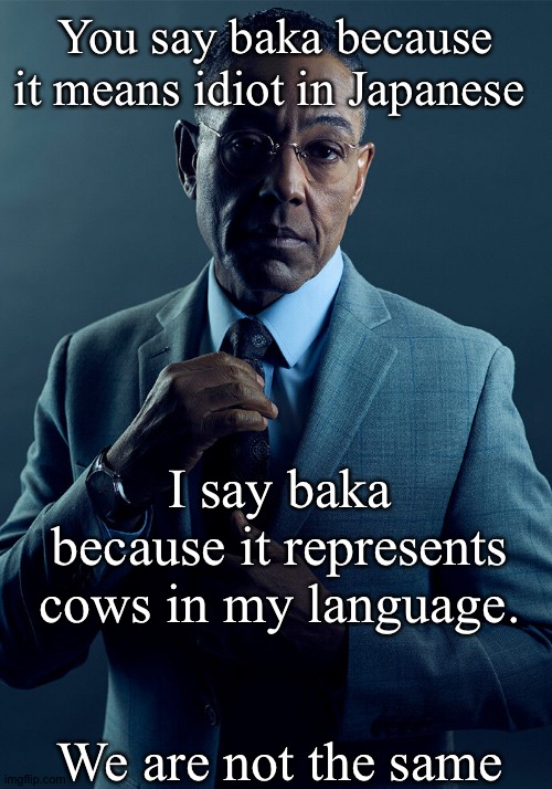 Only me kind understands this Meme |  You say baka because it means idiot in Japanese; I say baka because it represents cows in my language. We are not the same | image tagged in gus fring we are not the same,memes | made w/ Imgflip meme maker