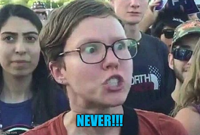 Triggered Liberal | NEVER!!! | image tagged in triggered liberal | made w/ Imgflip meme maker