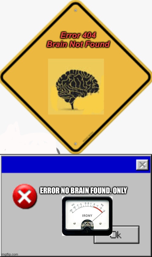 ERROR NO BRAIN FOUND. ONLY | image tagged in error 404 brain not found,windows error message | made w/ Imgflip meme maker