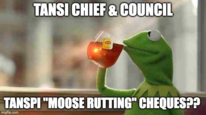 Kermit sipping tea | TANSI CHIEF & COUNCIL; TANSPI "MOOSE RUTTING" CHEQUES?? | image tagged in kermit sipping tea | made w/ Imgflip meme maker