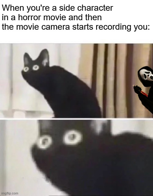 Oh No Black Cat | When you're a side character in a horror movie and then the movie camera starts recording you: | image tagged in oh no black cat,horror movie,memes,movie,logic | made w/ Imgflip meme maker