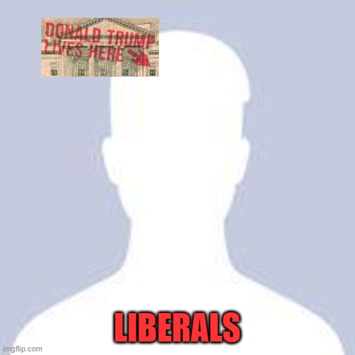 Blank Facebook Profile Picture | LIBERALS | image tagged in blank facebook profile picture | made w/ Imgflip meme maker