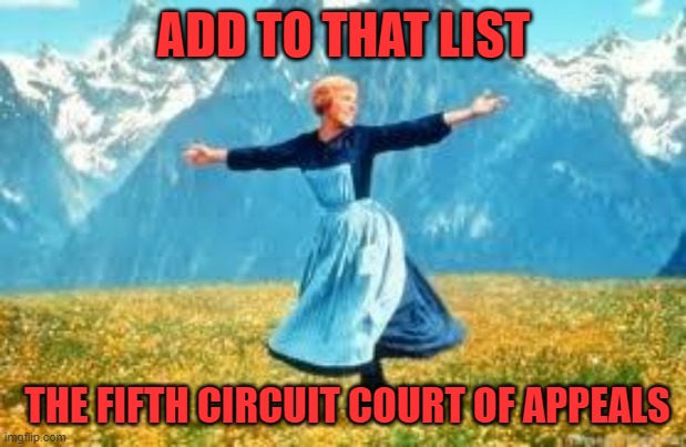 Look At All These Meme | ADD TO THAT LIST THE FIFTH CIRCUIT COURT OF APPEALS | image tagged in memes,look at all these | made w/ Imgflip meme maker