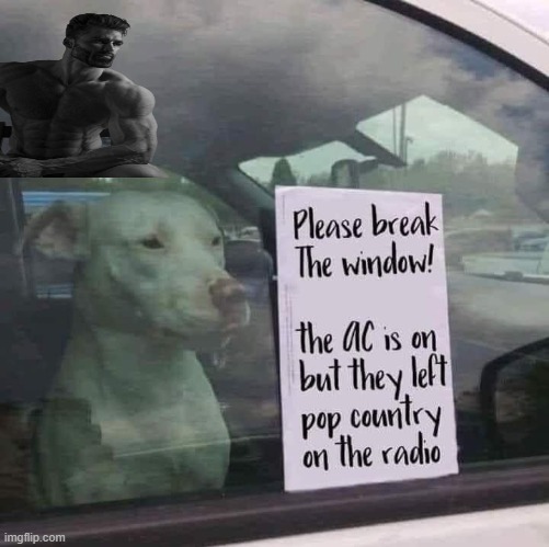 This dog is a legend | image tagged in dogs | made w/ Imgflip meme maker