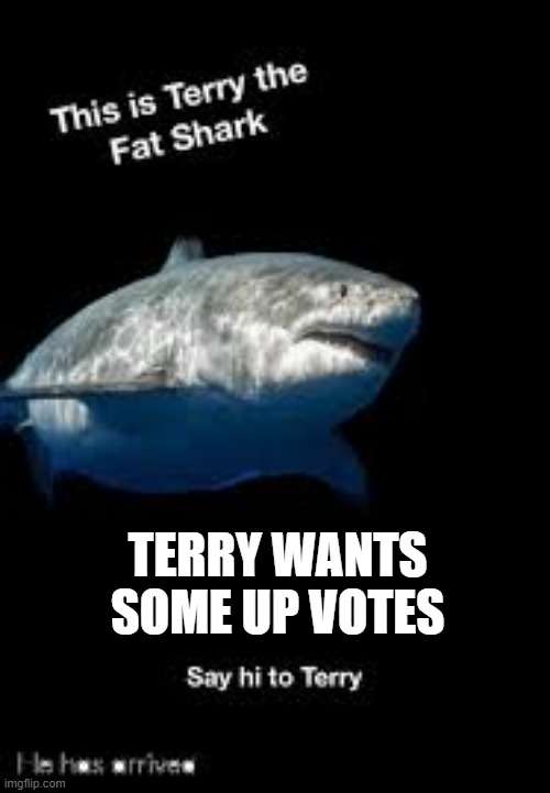 Terry the fat shark | TERRY WANTS SOME UP VOTES | image tagged in terry the fat shark | made w/ Imgflip meme maker