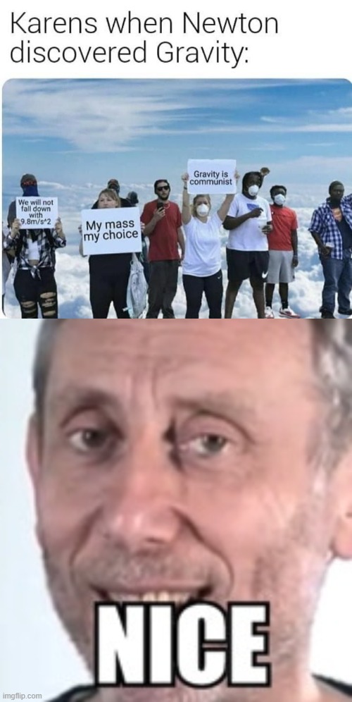 KARENS | image tagged in double nice micheal rosen | made w/ Imgflip meme maker