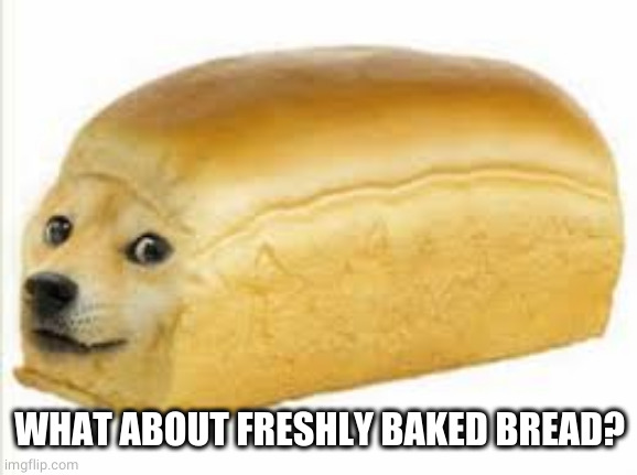 Doge bread | WHAT ABOUT FRESHLY BAKED BREAD? | image tagged in doge bread | made w/ Imgflip meme maker