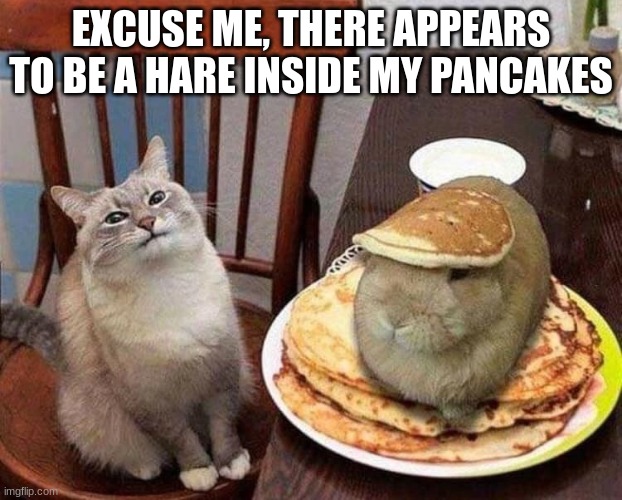 I think i want my money back | EXCUSE ME, THERE APPEARS TO BE A HARE INSIDE MY PANCAKES | image tagged in memes,funny memes,cats,lolcats,funny,dad joke | made w/ Imgflip meme maker