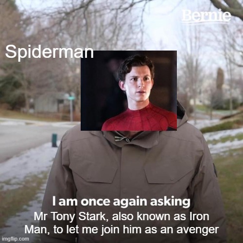 Spiderman's Genuine Request | Spiderman; Mr Tony Stark, also known as Iron Man, to let me join him as an avenger | image tagged in memes,bernie i am once again asking for your support,spiderman peter parker,avengers infinity war,infinity war,iron man | made w/ Imgflip meme maker
