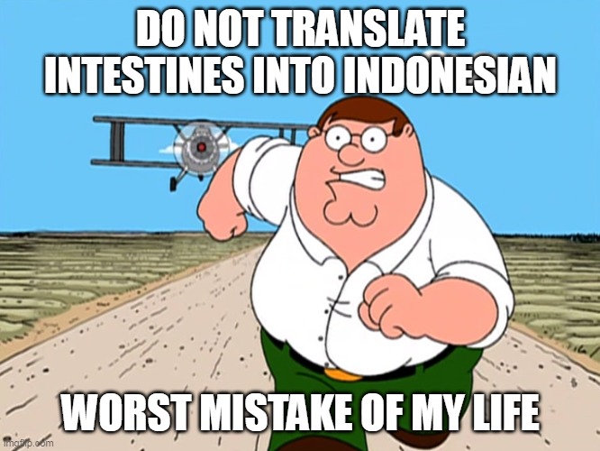 Peter Griffin running away | DO NOT TRANSLATE INTESTINES INTO INDONESIAN; WORST MISTAKE OF MY LIFE | image tagged in peter griffin running away | made w/ Imgflip meme maker