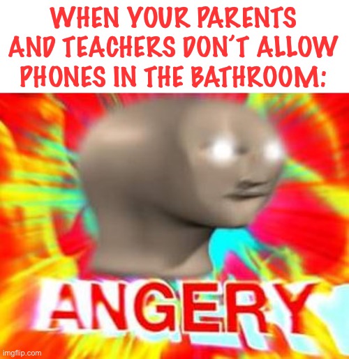 Surreal Angery | WHEN YOUR PARENTS AND TEACHERS DON’T ALLOW PHONES IN THE BATHROOM: | image tagged in surreal angery | made w/ Imgflip meme maker