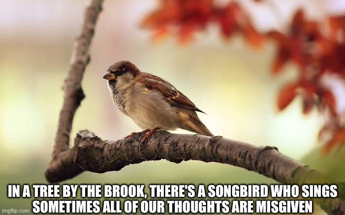 Stairway to Heaven | IN A TREE BY THE BROOK, THERE'S A SONGBIRD WHO SINGS
SOMETIMES ALL OF OUR THOUGHTS ARE MISGIVEN | image tagged in tree,song bird,tweed,mountains,brook,river | made w/ Imgflip meme maker