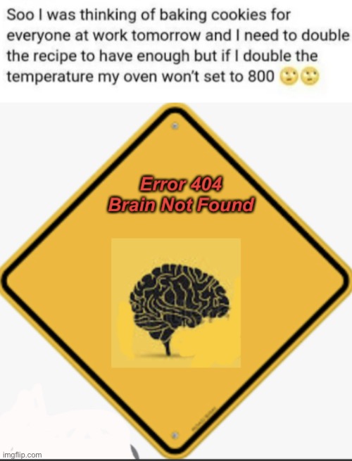 that’s not how cooking works | image tagged in error 404 brain not found,do you are have stupid,cooking,thats not how the force works,you had one job just the one,failure | made w/ Imgflip meme maker