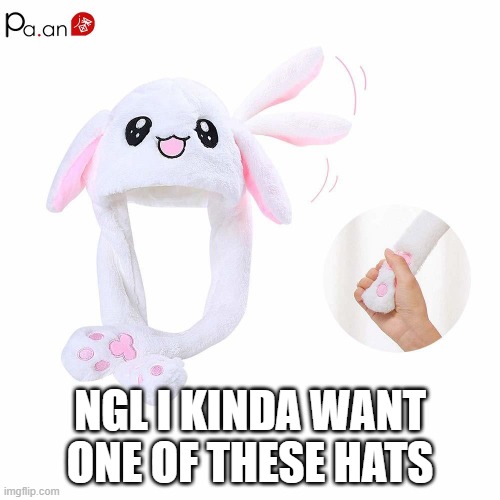 i need to sleep reeeeeeee | NGL I KINDA WANT ONE OF THESE HATS | made w/ Imgflip meme maker