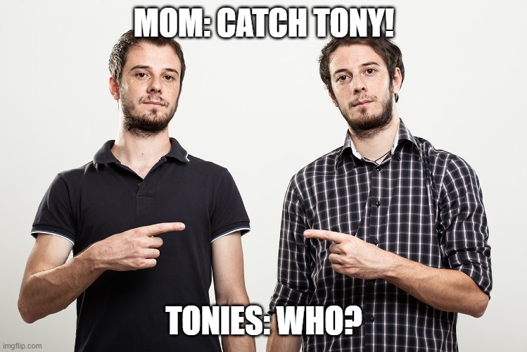 Twins | MOM: CATCH TONY! TONIES: WHO? | image tagged in twins,who | made w/ Imgflip meme maker