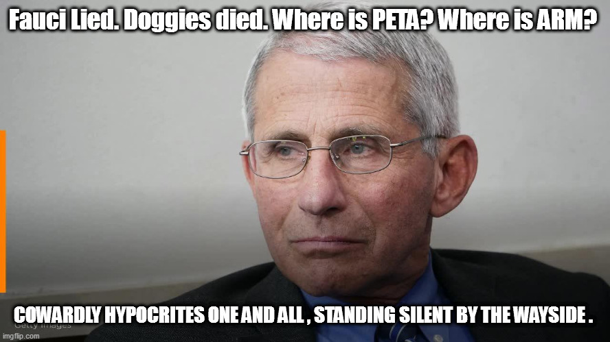 If there was any doubt PETA is leftist-controlled, and leftists are hypocrites, let it be put to rest. | Fauci Lied. Doggies died. Where is PETA? Where is ARM? COWARDLY HYPOCRITES ONE AND ALL , STANDING SILENT BY THE WAYSIDE . | image tagged in fauci,peta,hypocrites | made w/ Imgflip meme maker