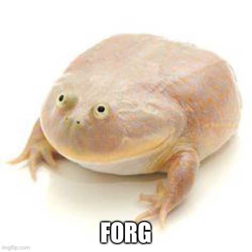 Wednesday Frog Blank | FORG | image tagged in wednesday frog blank | made w/ Imgflip meme maker