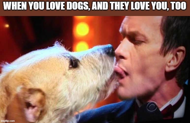 When You Love Dogs | WHEN YOU LOVE DOGS, AND THEY LOVE YOU, TOO | image tagged in dogs,love,kissing,kiss,neil patrick harris,funny | made w/ Imgflip meme maker