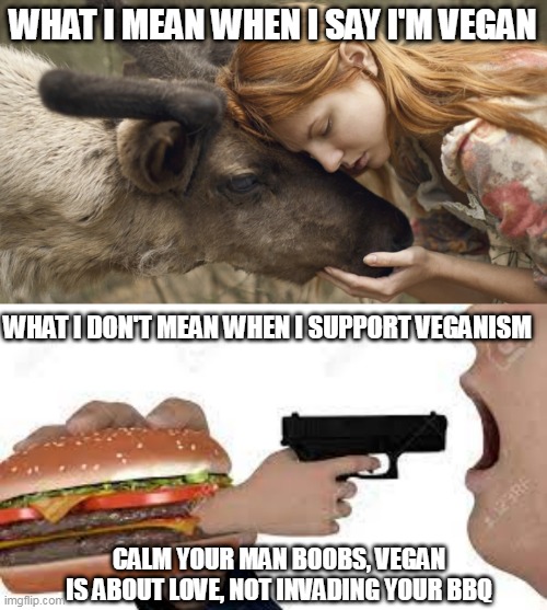 vegan | WHAT I MEAN WHEN I SAY I'M VEGAN; WHAT I DON'T MEAN WHEN I SUPPORT VEGANISM; CALM YOUR MAN BOOBS, VEGAN IS ABOUT LOVE, NOT INVADING YOUR BBQ | image tagged in vegan | made w/ Imgflip meme maker