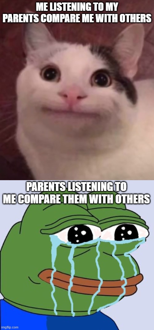 now plz don't destroy this meme sayin "parents dont listen" | ME LISTENING TO MY PARENTS COMPARE ME WITH OTHERS; PARENTS LISTENING TO ME COMPARE THEM WITH OTHERS | image tagged in fake smile cat,pepe happy crying | made w/ Imgflip meme maker