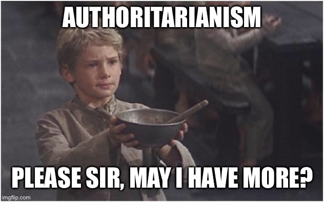 Oliver Twist Please Sir | AUTHORITARIANISM PLEASE SIR, MAY I HAVE MORE? | image tagged in oliver twist please sir | made w/ Imgflip meme maker