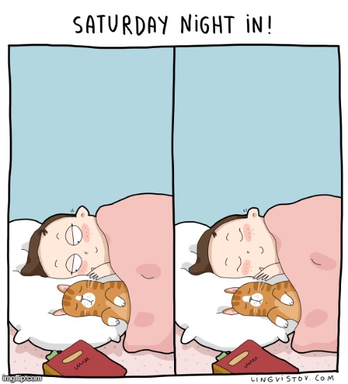 A Cat's Way of Thinking | image tagged in memes,comics,cats,saturday,night,in | made w/ Imgflip meme maker