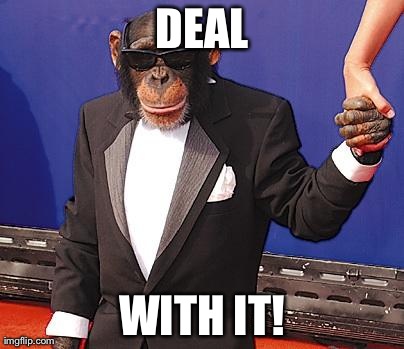 DEAL WITH IT! | image tagged in funny,monkey,deal with it | made w/ Imgflip meme maker