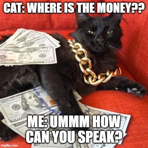 Rich Cat Sheesh | CAT: WHERE IS THE MONEY?? ME: UMMM HOW CAN YOU SPEAK? | image tagged in grumpy cat,rich cat | made w/ Imgflip meme maker