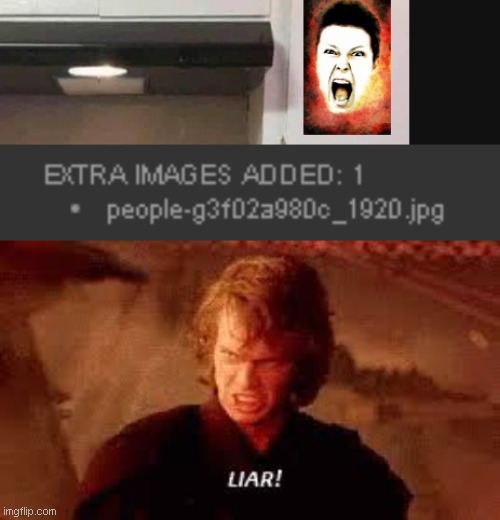 image tagged in anakin liar | made w/ Imgflip meme maker