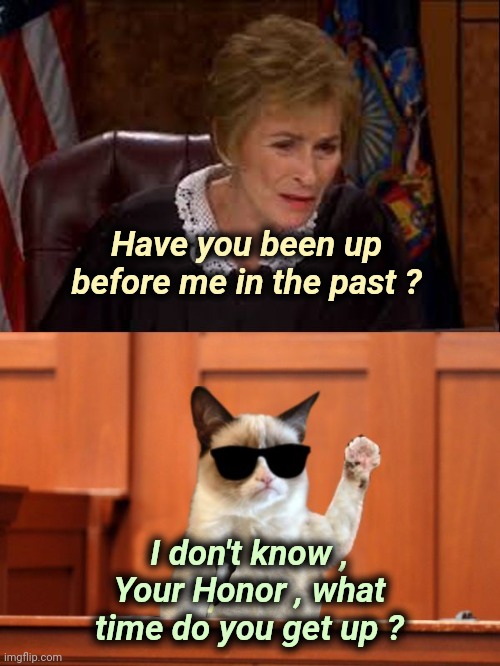 All rise | Have you been up before me in the past ? I don't know , Your Honor , what time do you get up ? | image tagged in judge judy and the cat,old joke,courtroom,wake up,too early,aint nobody got time for that | made w/ Imgflip meme maker