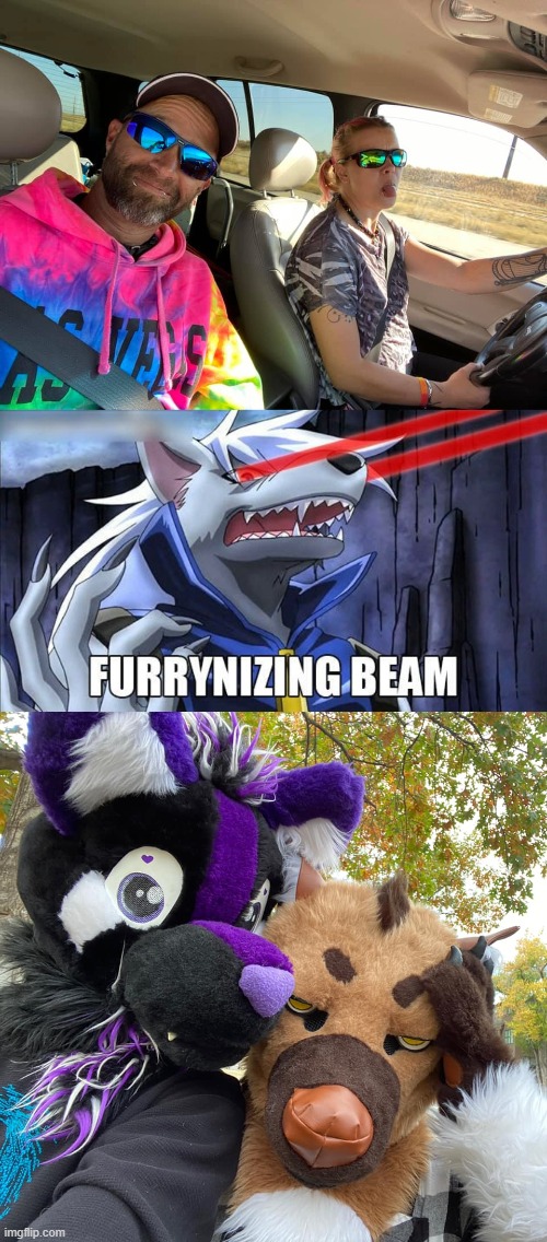 I'm not even joking, That's an ACTUAL married couple furries! (Found 'em on facebook xD) | image tagged in furrynizing beam,furry,memes,wholesome,facebook | made w/ Imgflip meme maker