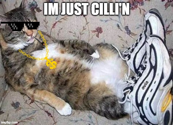 IM JUST CILLI'N | made w/ Imgflip meme maker