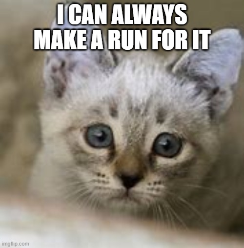 I CAN ALWAYS MAKE A RUN FOR IT | image tagged in cats,kittens,cute,family | made w/ Imgflip meme maker