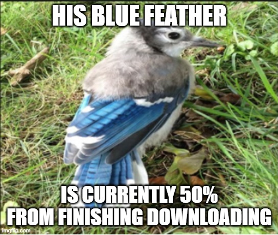 That must be a heavy file | HIS BLUE FEATHER; IS CURRENTLY 50% FROM FINISHING DOWNLOADING | made w/ Imgflip meme maker