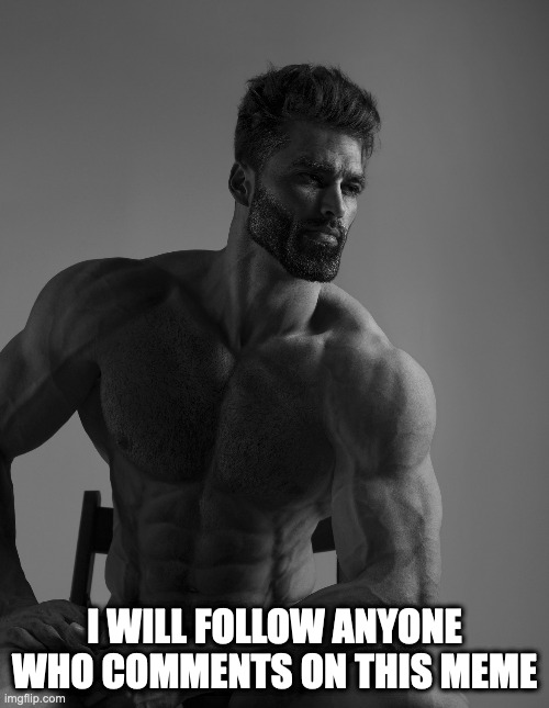 yes | I WILL FOLLOW ANYONE WHO COMMENTS ON THIS MEME | image tagged in giga chad | made w/ Imgflip meme maker