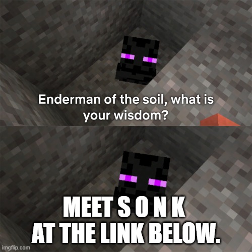 https://sites.google.com/view/s-o-n-k-island/home |  MEET S O N K  AT THE LINK BELOW. | image tagged in enderman of the soil | made w/ Imgflip meme maker