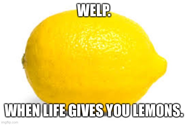 When life gives you lemons, X | WELP. WHEN LIFE GIVES YOU LEMONS. | image tagged in when life gives you lemons x | made w/ Imgflip meme maker