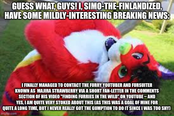 BREAKING NEWS From Simo-The-Finlandized (Monday, Nov. 8 ~ 2021 CE) | GUESS WHAT, GUYS! I, SIMO-THE-FINLANDIZED, HAVE SOME MILDLY-INTERESTING BREAKING NEWS:; I FINALLY MANAGED TO CONTACT THE FURRY YOUTUBER AND FURSUITER KNOWN AS  MAJIRA STRAWBERRY VIA A SHORT FAN-LETTER IN THE COMMENTS SECTION OF HIS VIDEO "FINDING FURRIES IN THE WILD" ON YOUTUBE ~ AND YES, I AM QUITE VERY STOKED ABOUT THIS (AS THIS WAS A GOAL OF MINE FOR QUITE A LONG TIME, BUT I NEVER REALLY GOT THE GUMPTION TO DO IT SINCE I WAS TOO SHY) | image tagged in majira,breaking news,announcement,the furry fandom | made w/ Imgflip meme maker