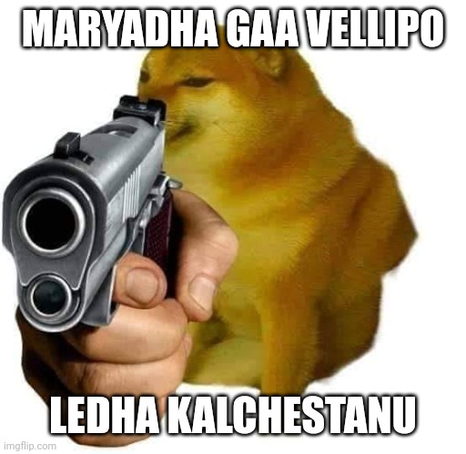 Telugu Cheems Template 1 | MARYADHA GAA VELLIPO; LEDHA KALCHESTANU | image tagged in gun cheems | made w/ Imgflip meme maker