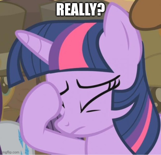 Mlp Twilight Sparkle facehoof | REALLY? | image tagged in mlp twilight sparkle facehoof | made w/ Imgflip meme maker