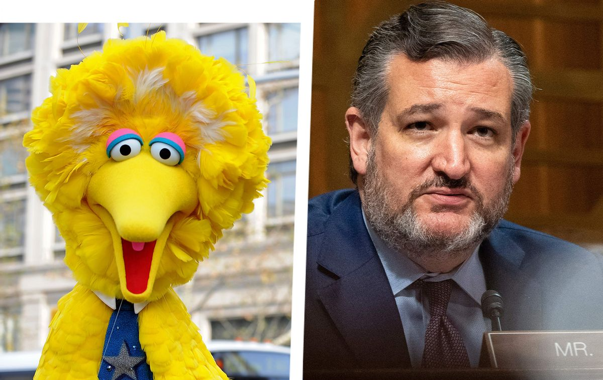 High Quality Ted Cruz Big Bird Politics USA Blank Meme Template
