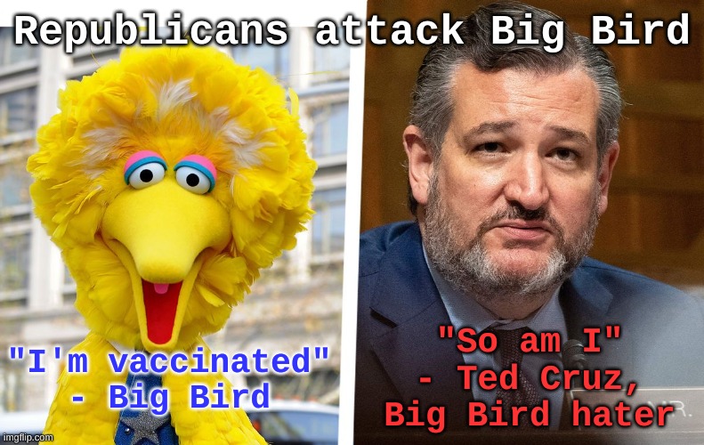 Ted Cruz the Big Bird hater | Republicans attack Big Bird; "So am I" - Ted Cruz, Big Bird hater; "I'm vaccinated" - Big Bird | image tagged in ted cruz big bird politics usa,covid,ted cruz,republican,vaccination,antivax | made w/ Imgflip meme maker