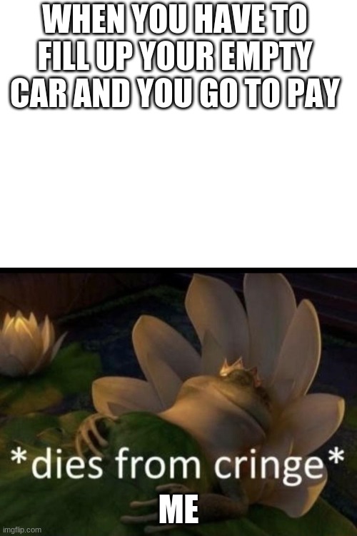 WHEN YOU HAVE TO FILL UP YOUR EMPTY CAR AND YOU GO TO PAY; ME | image tagged in blank white template,dies from cringe | made w/ Imgflip meme maker