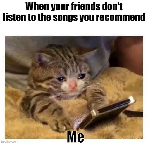 Im sad :( | When your friends don't listen to the songs you recommend; Me | image tagged in crying cat phone | made w/ Imgflip meme maker