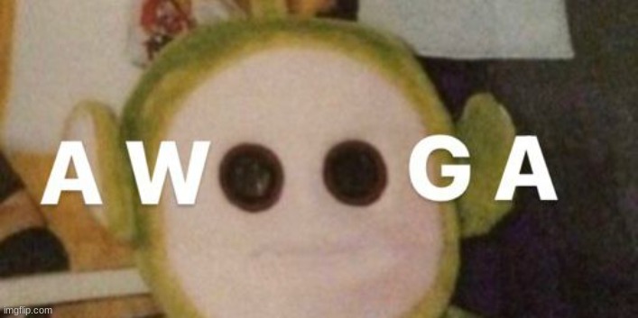 booga | image tagged in unga | made w/ Imgflip meme maker