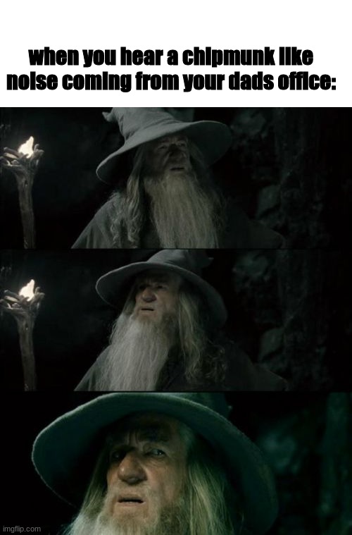 extreme memes | when you hear a chipmunk like noise coming from your dads office: | image tagged in memes,extreme memes,confused gandalf | made w/ Imgflip meme maker